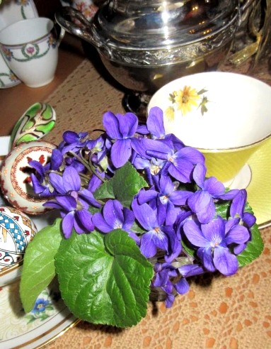 violettes mars22 1